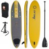 x2 Stand Up Paddle SUP